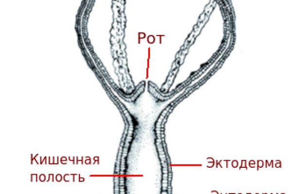 Кракен тор ссылка сайт 2krn.cc