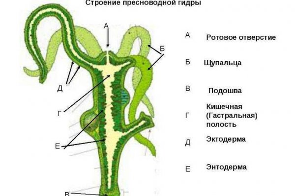 Кракен зеркало сегодня