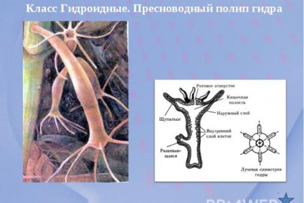 Каталог даркнет сайтов