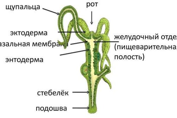 Сайт кракен на торе что это